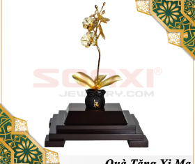 CHẬU LAN HỒ ĐIỆP 1 CÀNH MẠ VÀNG 24K