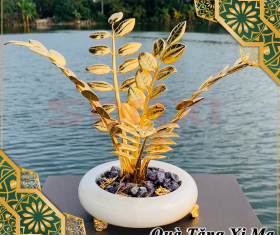 CHẬU CÂY KIM TIỀN MẠ VÀNG 24K